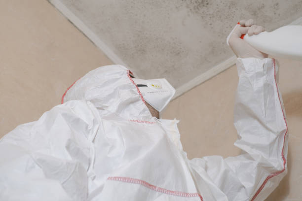 Professional Mold Removal in Elkland, PA
