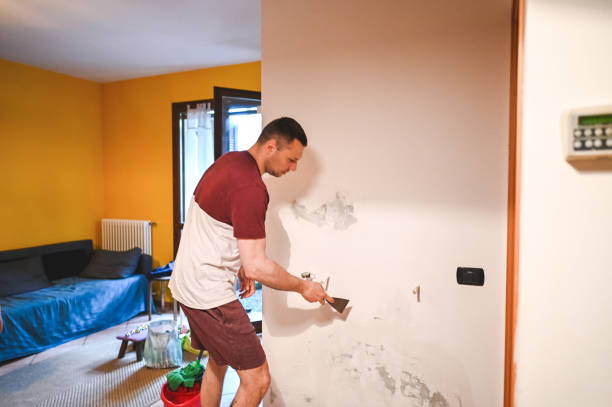 Best Toxic Mold Removal  in Elkland, PA