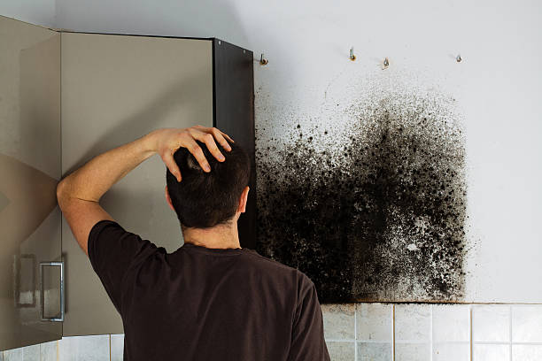 Best Crawl Space Mold Removal  in Elkland, PA
